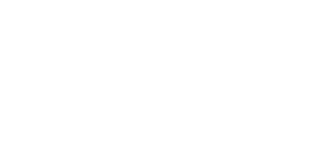 Port Wave Logo